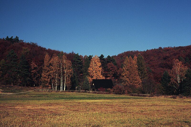 File:Autumn house Velvia.jpg