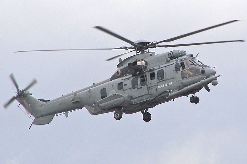 File:Caracal2552.jpg