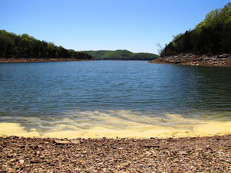 File:Center-hill-lake-pollen-tn1.jpg