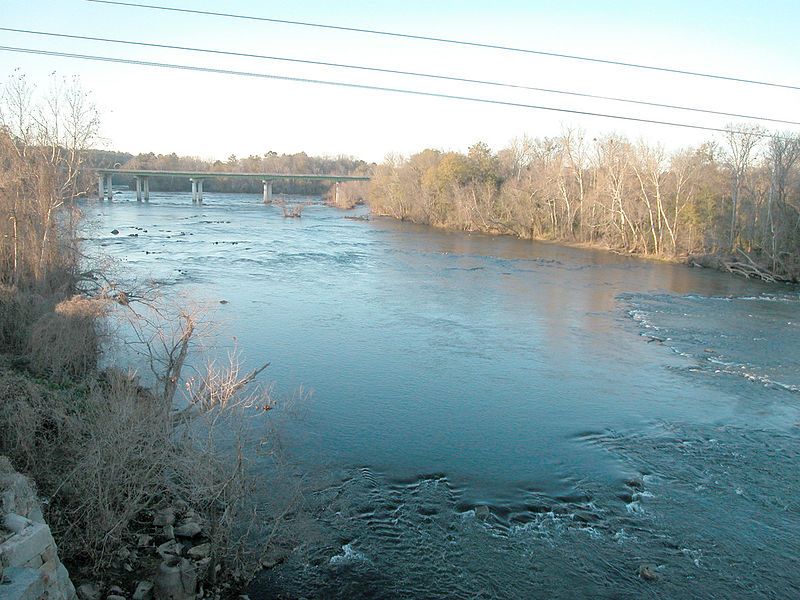 File:Congaree0262.jpg