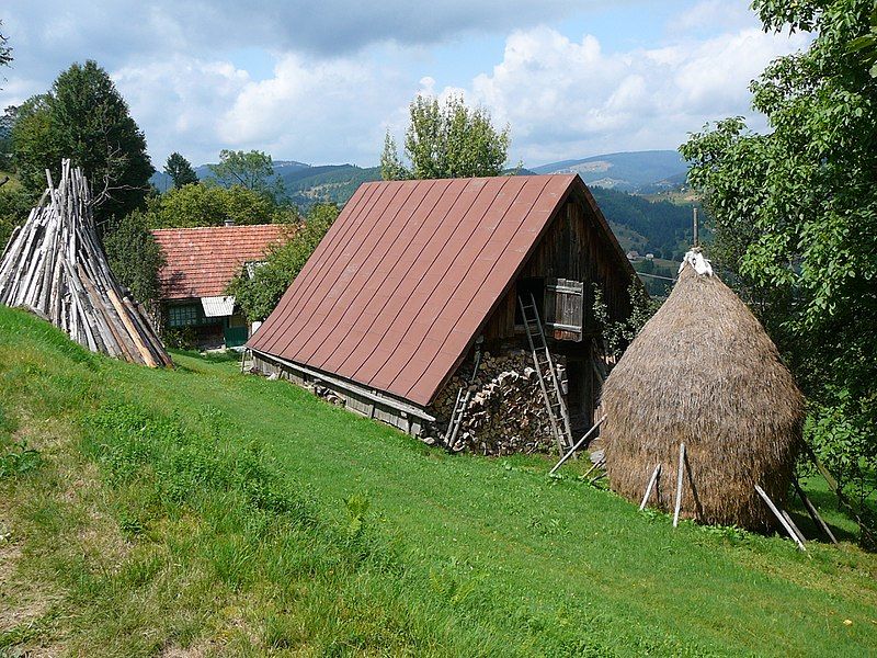 File:Farm in Arieşeni.jpg