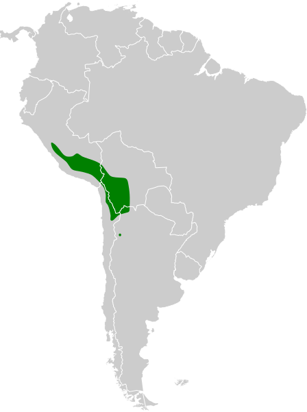 File:Fulica gigantea map.svg