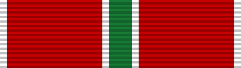 File:Garibaldi Medal.png