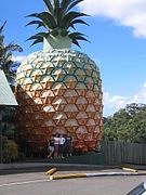 The Big Pineapple in Nambour, Australia