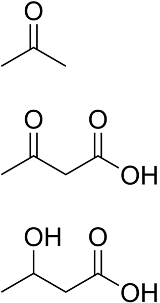 File:Ketone bodies.png