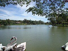 Lago Javary (Lake Javary), Miguel Pereira