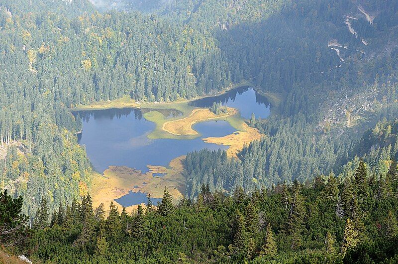 File:Obersee, Dürrenstein 04.jpg