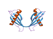 2oct: Stefin B (Cystatin B) tetramer