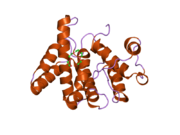 2ovj: The crystal structure of the human Rac GTPase activating protein 1 (RACGAP1) MgcRacGAP.