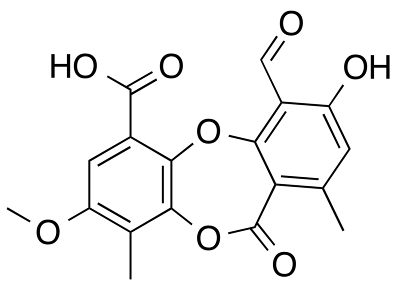 File:Psoromic acid.png