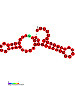 isrD Hfq binding RNA: Predicted secondary structure taken from the Rfam database. Family RF01388.