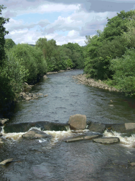 File:River Amman.png