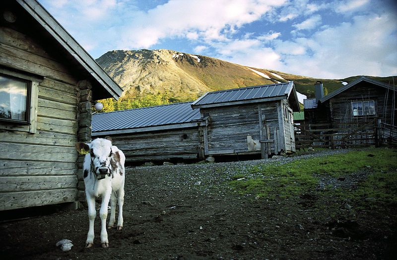 File:Sånfjället Nyvallens fäbodvall.jpg