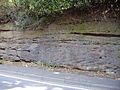 Sandstone in roadside cutting