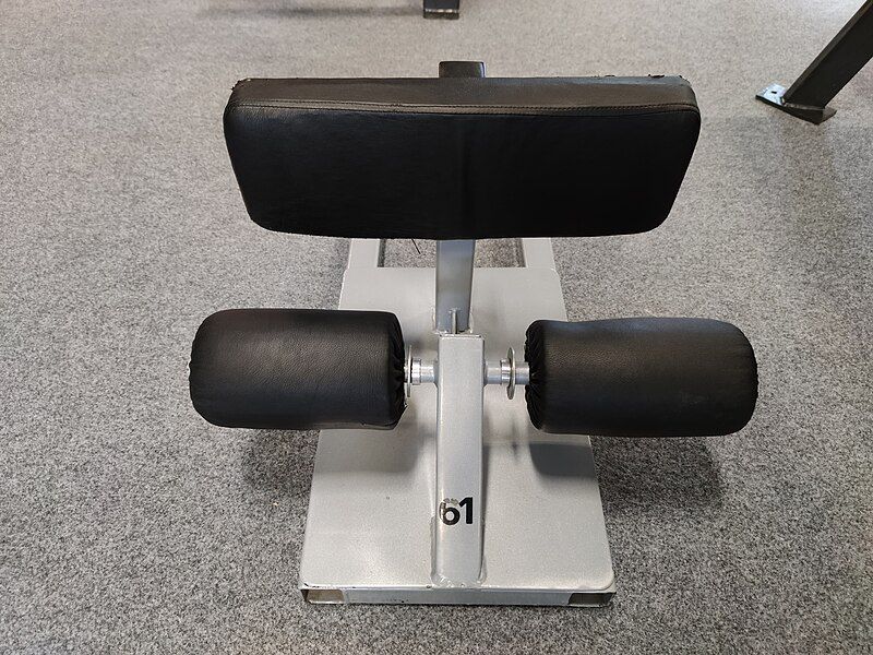 File:Sissy squat machine.jpg