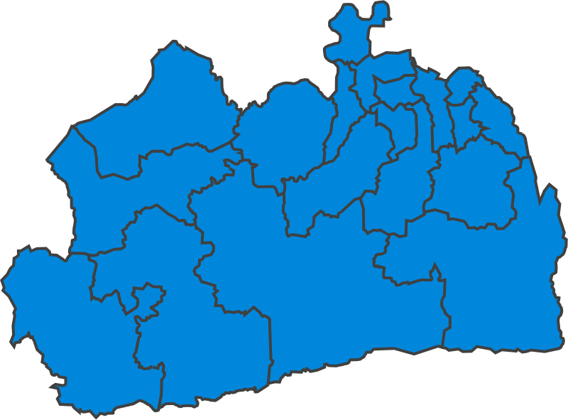 File:SurreyParliamentaryConstituency1950Results.svg