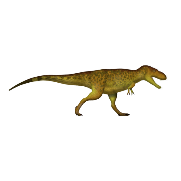 File:Tarbosaurus UDL.png