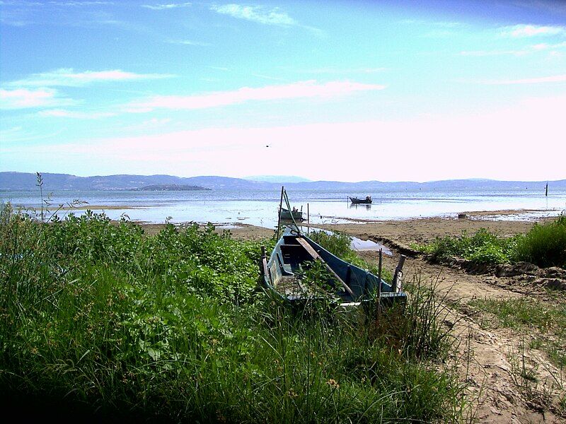 File:Trasimenodried.jpg