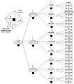 tree of squares superimposed to the tree of primitive Pythagorean triples