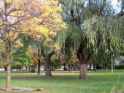 The park the neighbourhood is named for