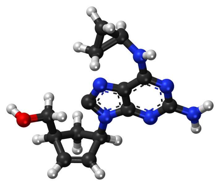 File:Abacavir ball-and-stick model.png