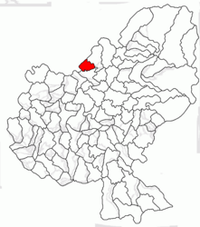 Location in Mureș County