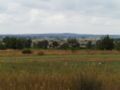 Skotniki's countryside: Diabla Góra Nature Reserve and Sulejów Landscape Park area