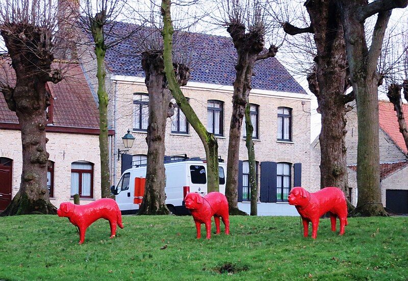 File:Dogs in Wulveringem.JPG