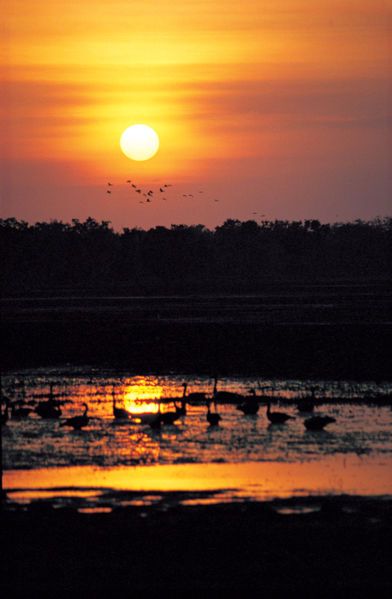 File:Kakadu 1330.jpg