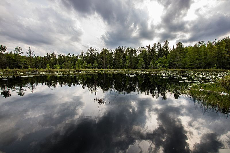 File:Komoka Lake Reflections.jpg