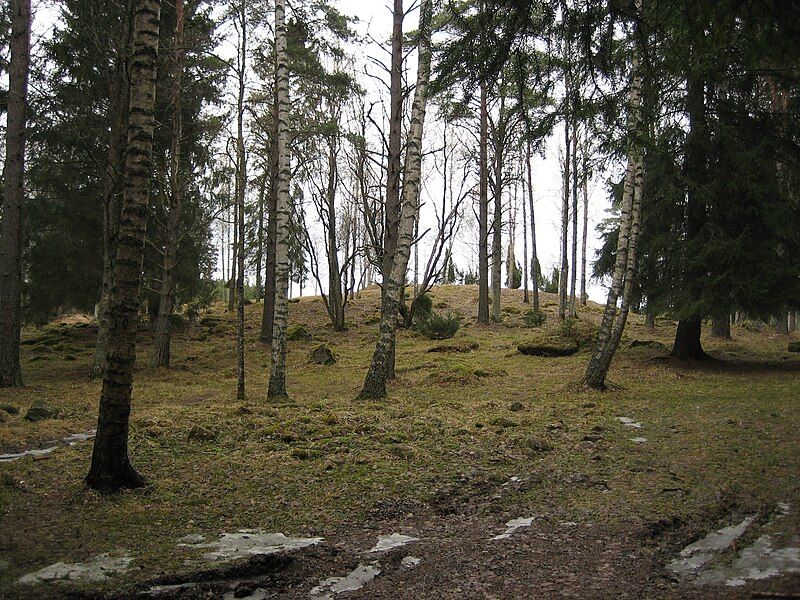 File:Liinmaan linna ulkopuolelta.jpg