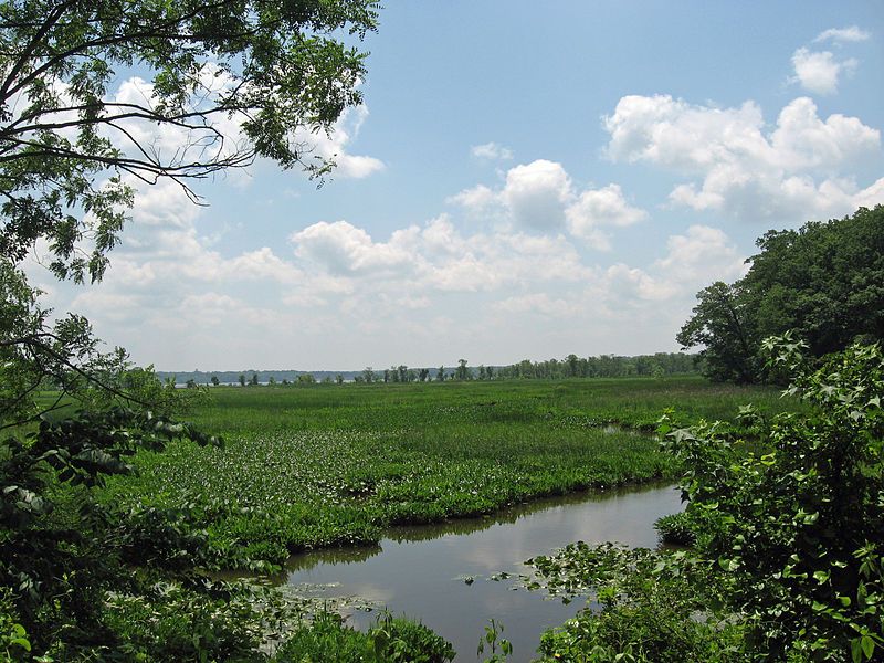 File:Mason Neck NWR.JPG