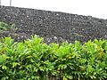 closer view of heiau wall