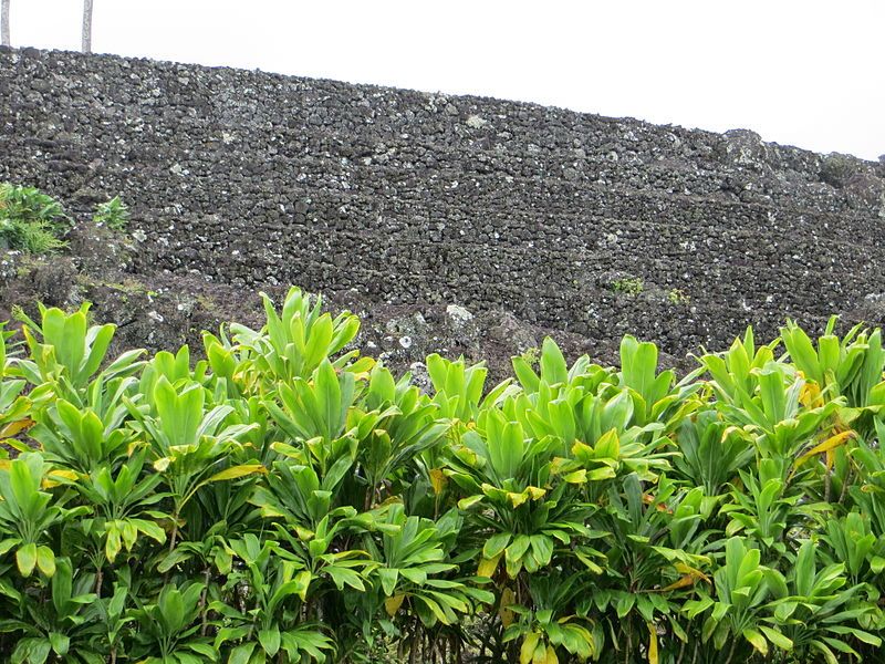 File:Maui-Piilanihale-Heiau-walltiers.JPG