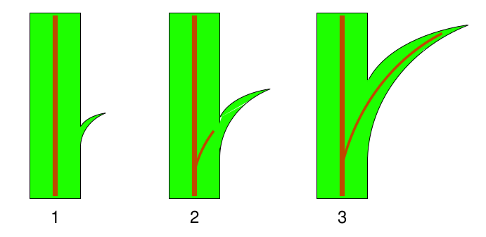 File:Microphyll evolution omygod.svg