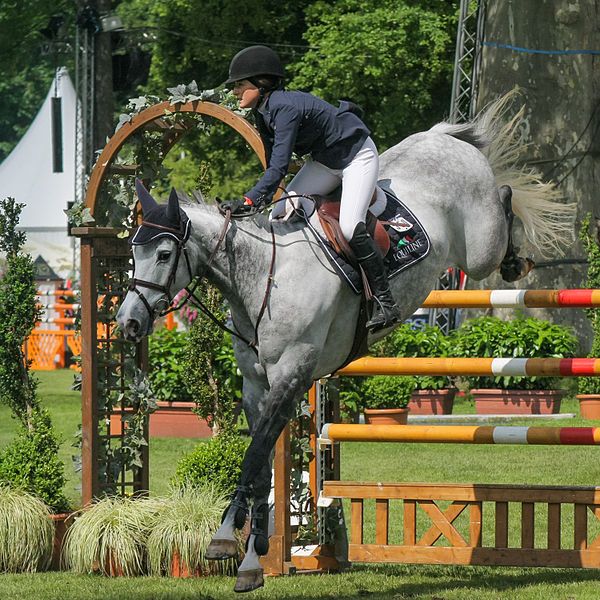 File:Pfingstturnier-2013-Jessica-Springsteen.jpg