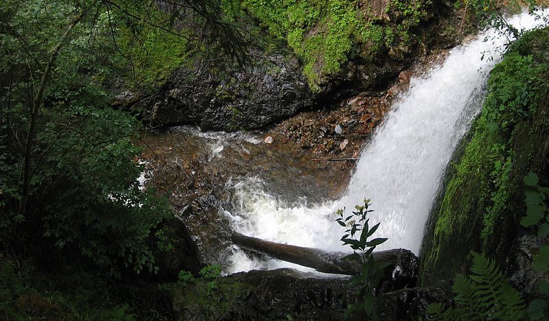 File:Ravennaschlucht wasserfall 02.jpg