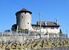 Lutry Castle / Rôdeurs Castle