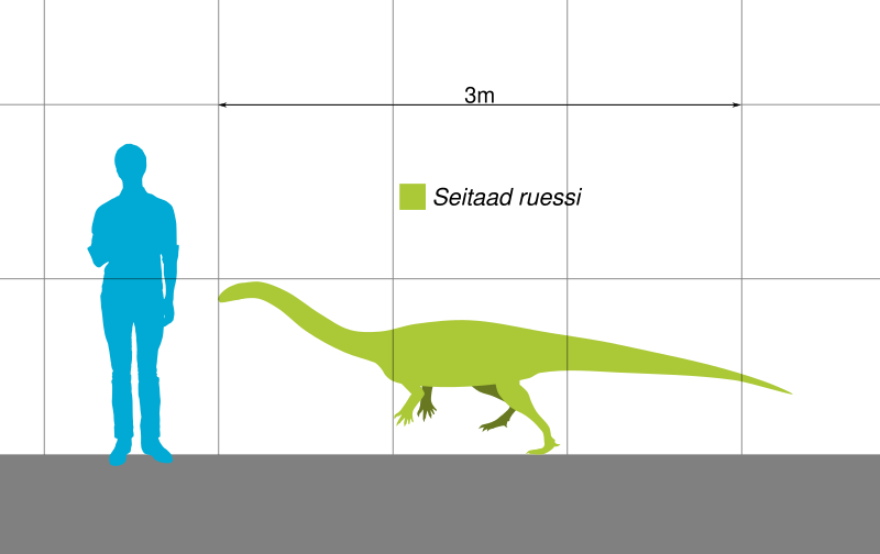 File:Seitaad Scale.svg