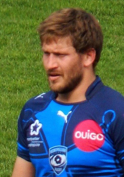 File:Steyn 2016 (cropped).JPG