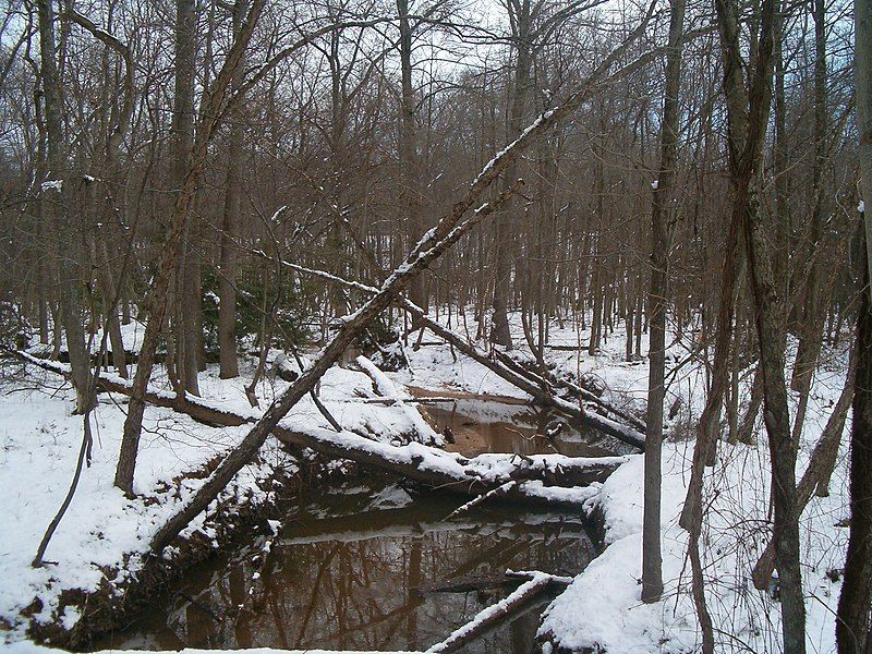 File:Still Creek.jpg