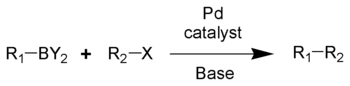 The Suzuki reaction