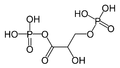 1,3-bisphosphoglycerate