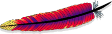 a rainbow-colored feather