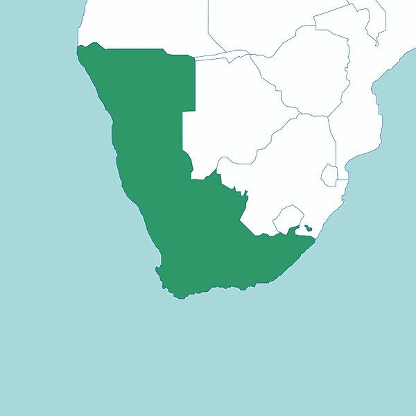 File:Adromischus alstonii distribution.jpg