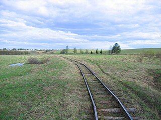 Narrow-gauge railway