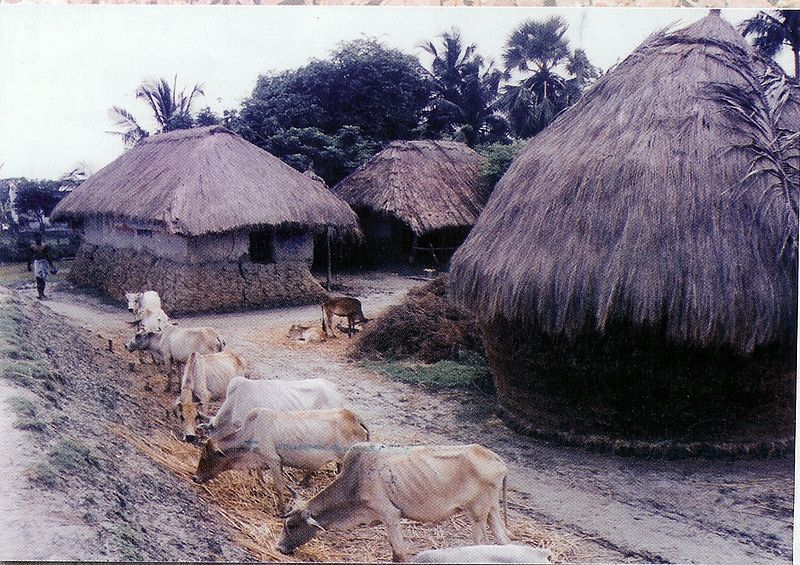 File:Birbhum Village.jpg