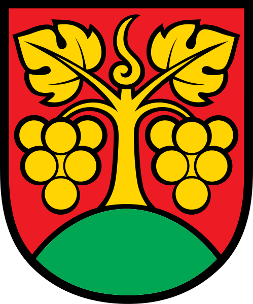 File:CHE Bühl COA.svg