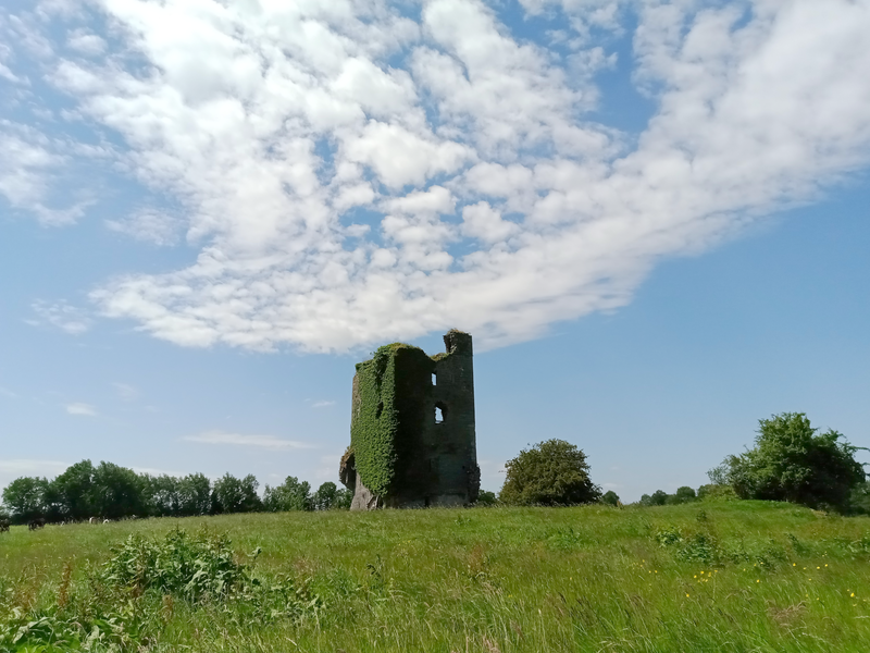 File:Cantwell's Castle bawn.png