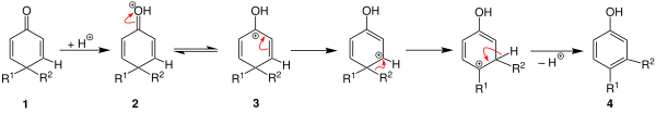 Proposed reaction mechanism of dienone–phenol rearrangement